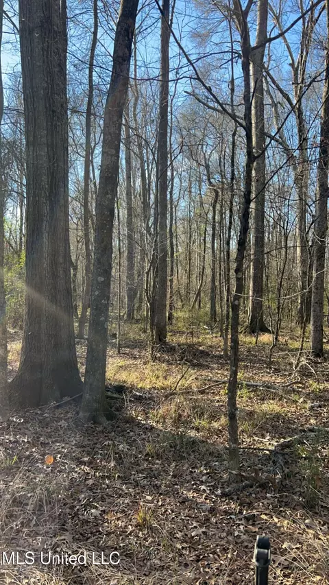 St Augustine Drive, Pearl, MS 39208 photo 31