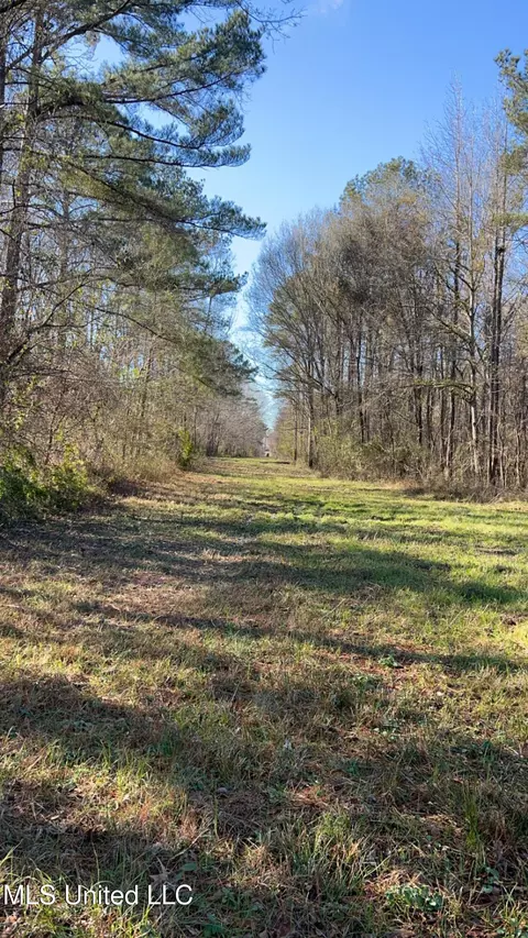 St Augustine Drive, Pearl, MS 39208 photo 22