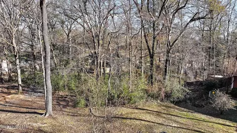 Mauri Cove, Clinton, MS 39056 photo 4