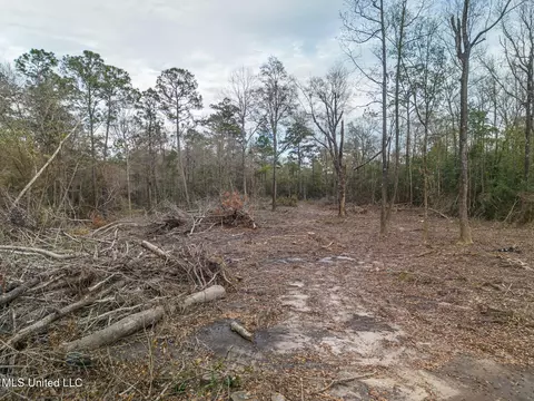 0 N Kellogg, Saucier, MS 39574 photo 3