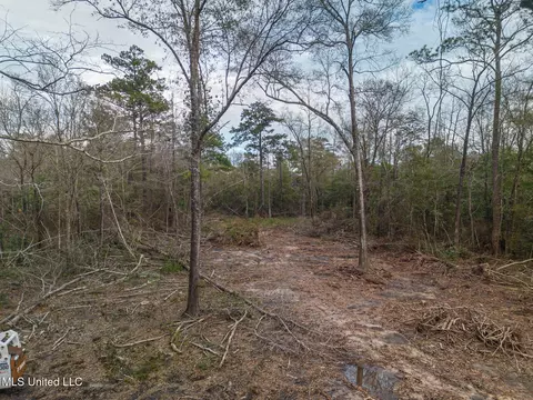 0 N Kellogg, Saucier, MS 39574 photo 11