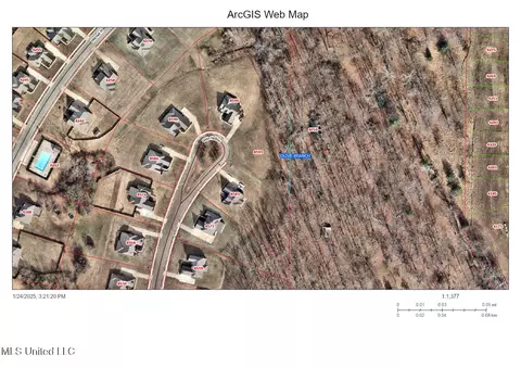 8593 Gwin Hollow Holw, Olive Branch, MS 38654 photo 12