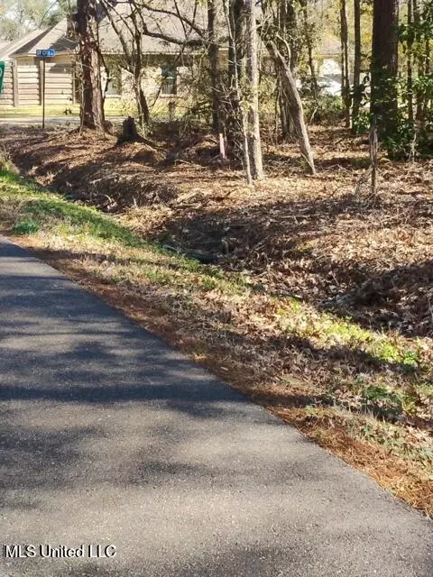 0 Carter Cemetery Rd, Springfield, LA 70462