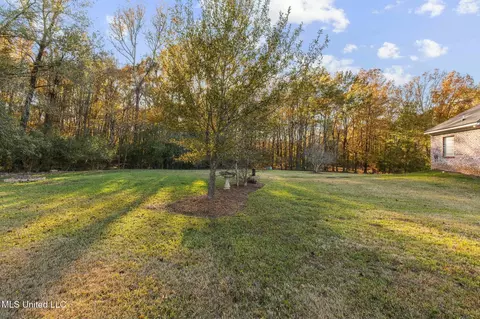 Exterior - 215 Sunset Cir, Madison, MS 39110 photo 13 of 16