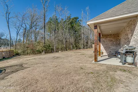 Exterior - 850 Long Leaf Cir, Brandon, MS 39042 photo 11 of 11
