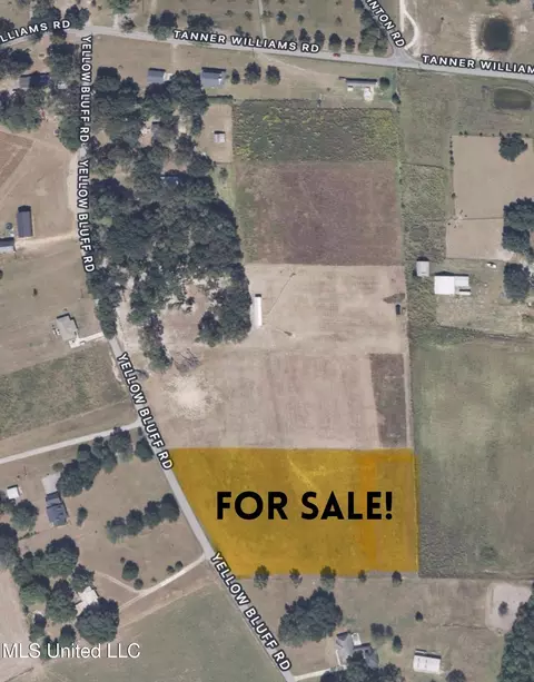 Yellow Bluff Road, Lucedale, MS 39452 photo 3