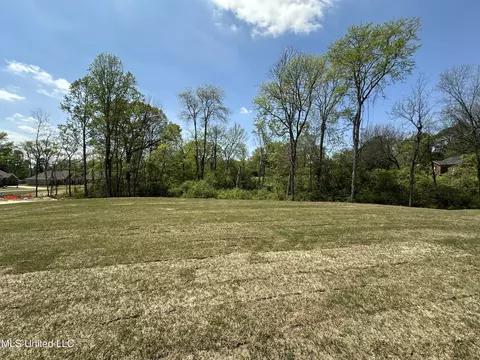909 Andys Way, Hernando, MS 38632 photo 2