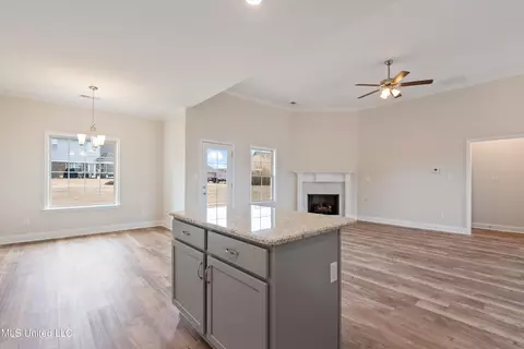 909 Andys Way, Hernando, MS 38632 photo 14