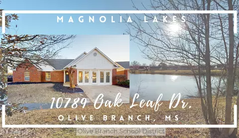 10789 Oak Leaf Dr, Olive Branch, MS 38654