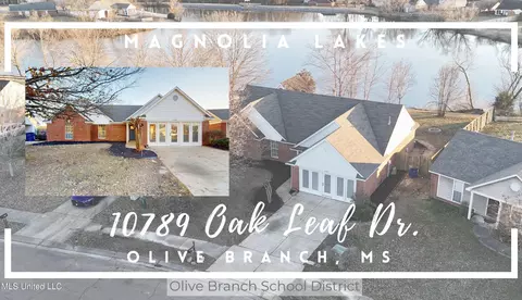 10789 Oak Leaf Dr, Olive Branch, MS 38654 photo 36