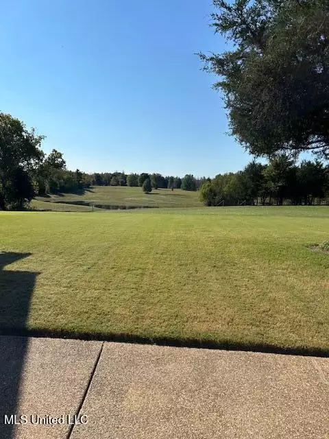 Other - 9264 Peyton Rd, Coldwater, MS 38618 photo 3 of 9