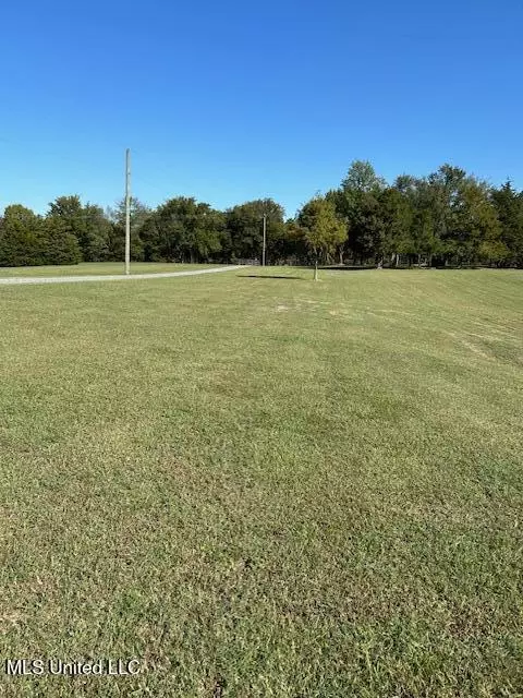 Other - 9264 Peyton Rd, Coldwater, MS 38618 photo 2 of 9