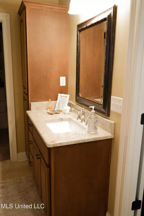 Bath - 9264 Peyton Rd, Coldwater, MS 38618 photo 3 of 3