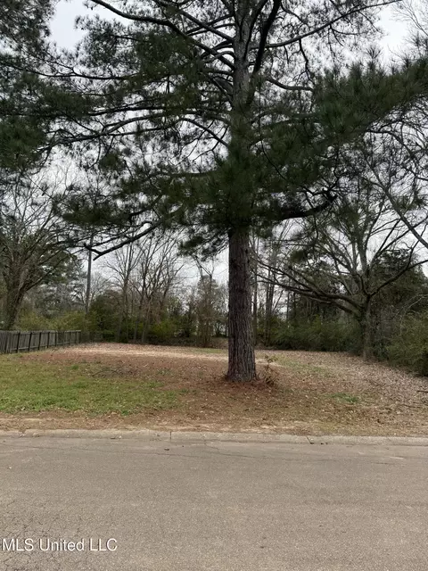 0 Dunton Rd, Clinton, MS 39056 photo 2