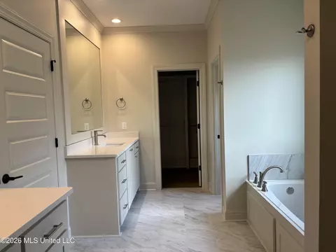 Bath - 107 Trace Pointe Pl, Clinton, MS 39056 photo 1 of 4
