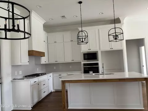 Kitchen - 114 Trace Pointe Pl, Clinton, MS 39056 photo 3 of 4