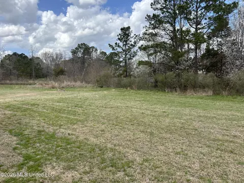 Other - 114 Trace Pointe Pl, Clinton, MS 39056 photo 5 of 5