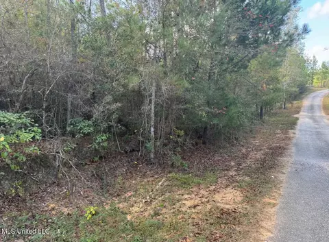 J Bailey Road, Wiggins, MS 39577 photo 6