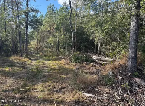 J Bailey Road, Wiggins, MS 39577 photo 3