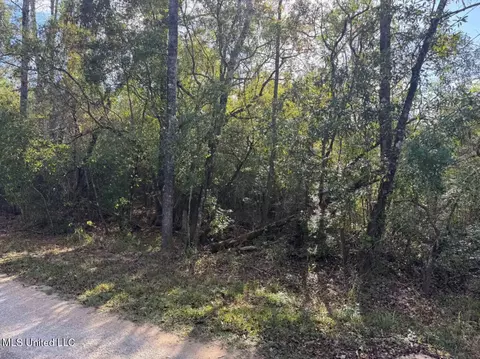 J Bailey Road, Wiggins, MS 39577 photo 2