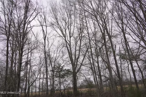 2720 Old Jackson Rd, Terry, MS 39170 photo 11