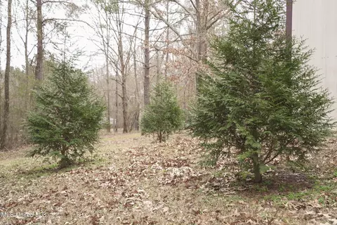 2720 Old Jackson Rd, Terry, MS 39170 photo 37
