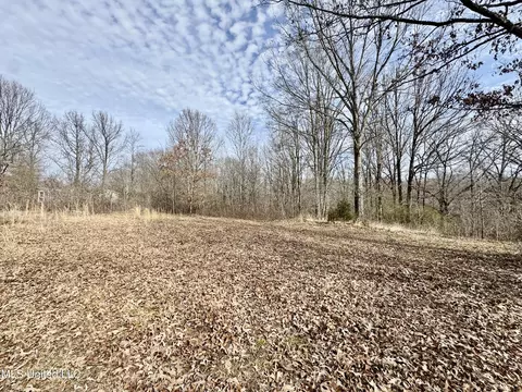 198 Tolbert Rd, Coldwater, MS 38618 photo 1