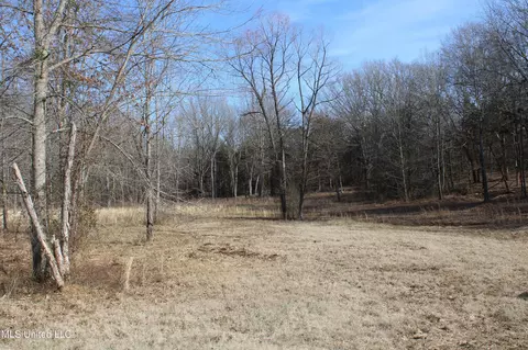 120 Hollow Xing, Senatobia, MS 38668