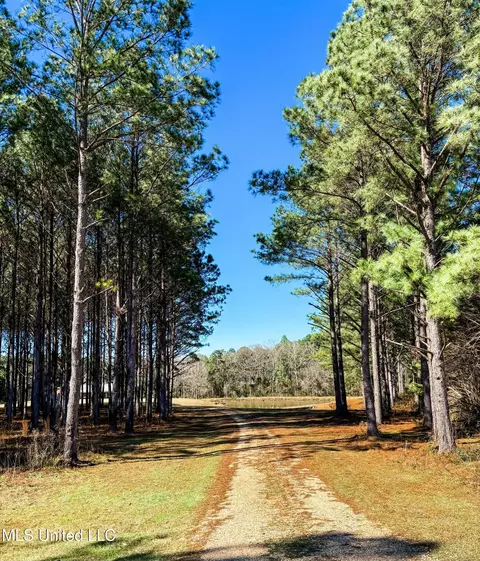 Other - 21 Cozy Corner Rd, Wiggins, MS 39577 photo 3 of 10