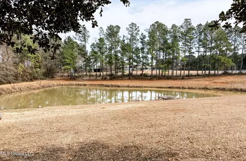View/Area - 21 Cozy Corner Rd, Wiggins, MS 39577 photo 1 of 1