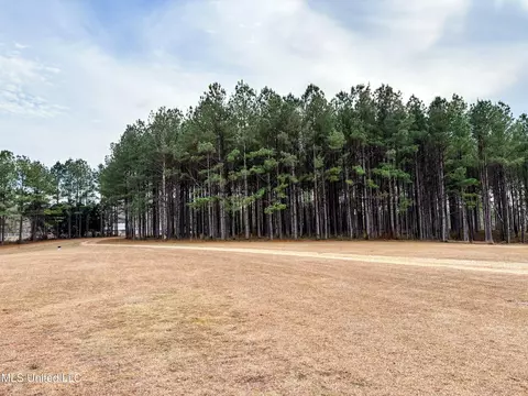 Other - 21 Cozy Corner Rd, Wiggins, MS 39577 photo 4 of 10