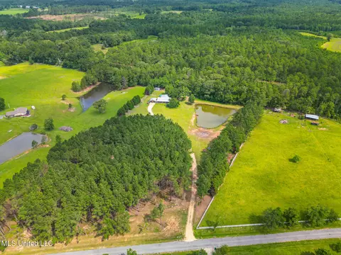 Other - 21 Cozy Corner Rd, Wiggins, MS 39577 photo 5 of 10
