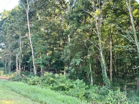lot87 Crockett Cv, Hernando, MS 38632 photo 3
