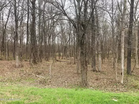 lot87 Crockett Cv, Hernando, MS 38632 photo 4
