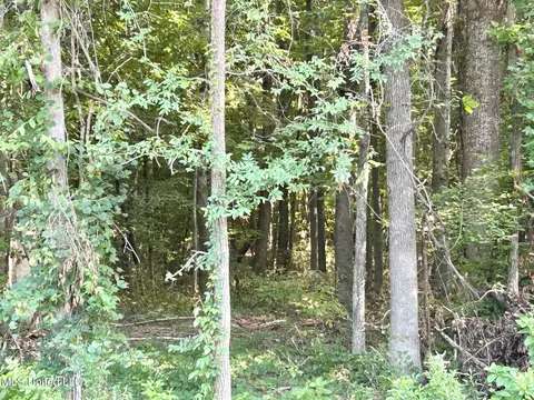 lot87 Crockett Cv, Hernando, MS 38632 photo 2