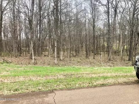 lot87 Crockett Cv, Hernando, MS 38632 photo 5