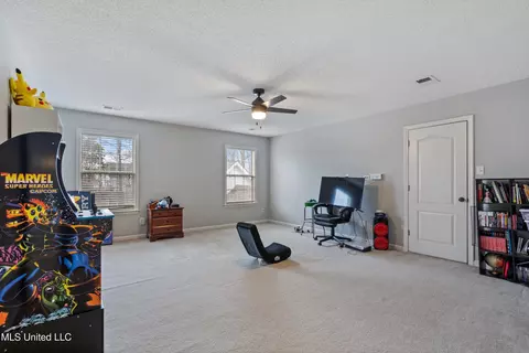 3393 Bridge Park Dr, Nesbit, MS 38651 photo 28