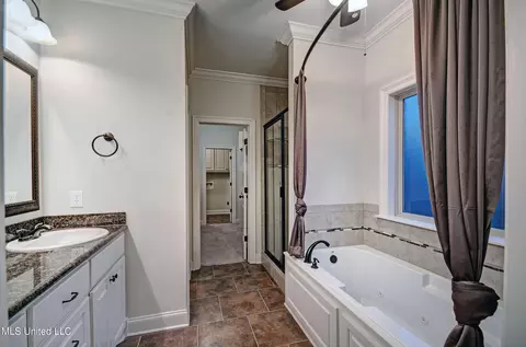 Bath - 113 Buckhead Dr, Madison, MS 39110 photo 3 of 6