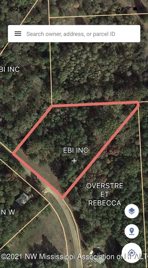 18 Pine Ridge Cv, Pope, MS 38658 photo 3
