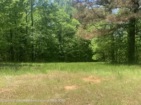 18 Pine Ridge Cv, Pope, MS 38658 photo 4