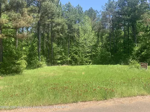 18 Pine Ridge Cv, Pope, MS 38658 photo 5