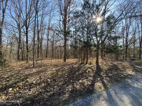 5 5 Acres On Coke Rd, Byhalia, MS 38611