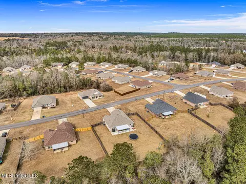 View/Area - 53 Summit View Dr, Perkinston, MS 39573 photo 4 of 5