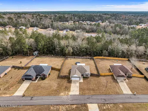View/Area - 53 Summit View Dr, Perkinston, MS 39573 photo 3 of 5