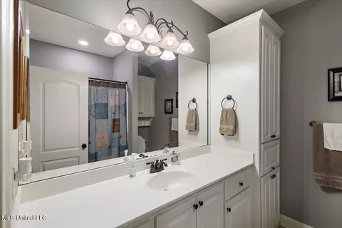 Bath - 231 Copper Ridge Way, Florence, MS 39073 photo 1 of 1
