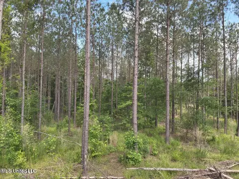 18841 Palmer Creek Dr, Saucier, MS 39574