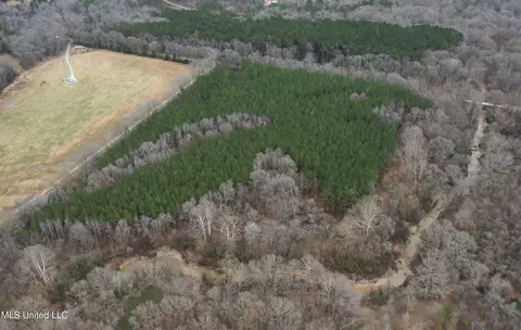 Off Dry Grove Road, Terry, MS 39170 photo 4