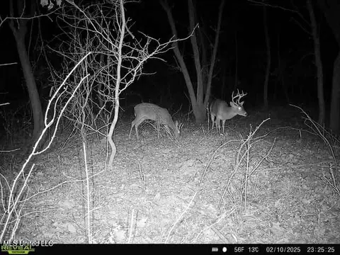 Off Dry Grove Road, Terry, MS 39170 photo 22