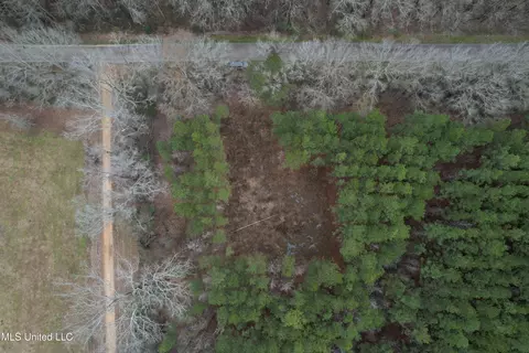 Off Dry Grove Road, Terry, MS 39170 photo 5