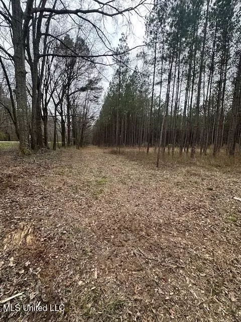 Off Dry Grove Road, Terry, MS 39170 photo 20